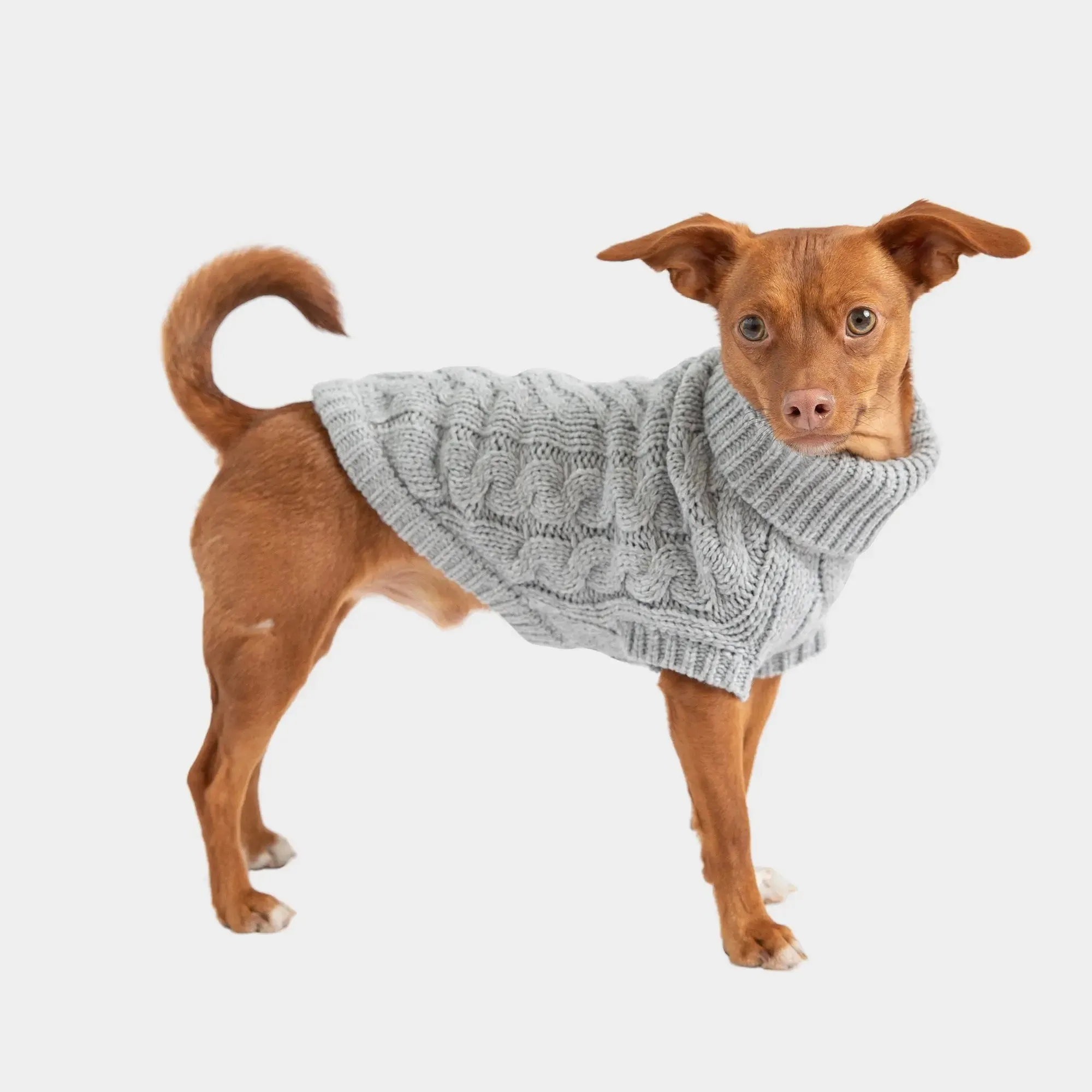 Chalet Dog Sweater | Grey Mix