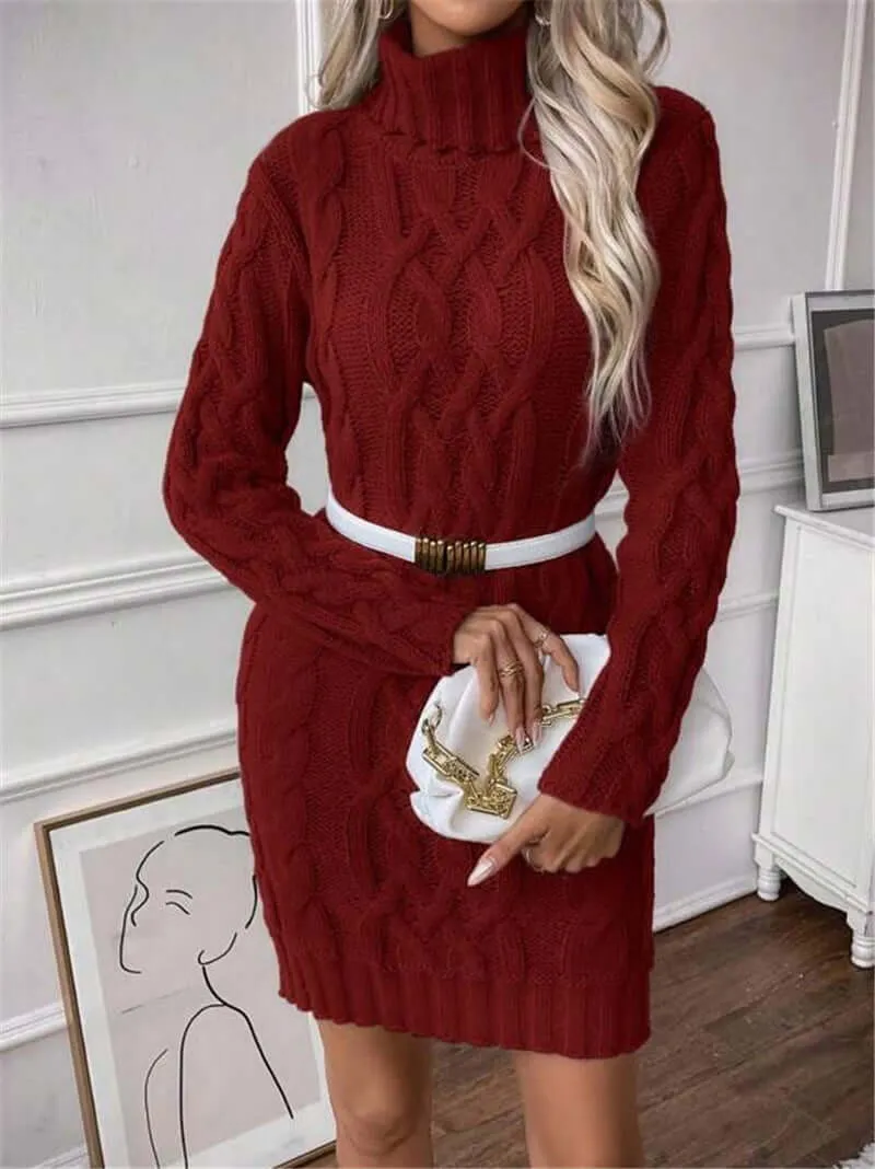 High Collar Slim Knitted Long Sweater dress