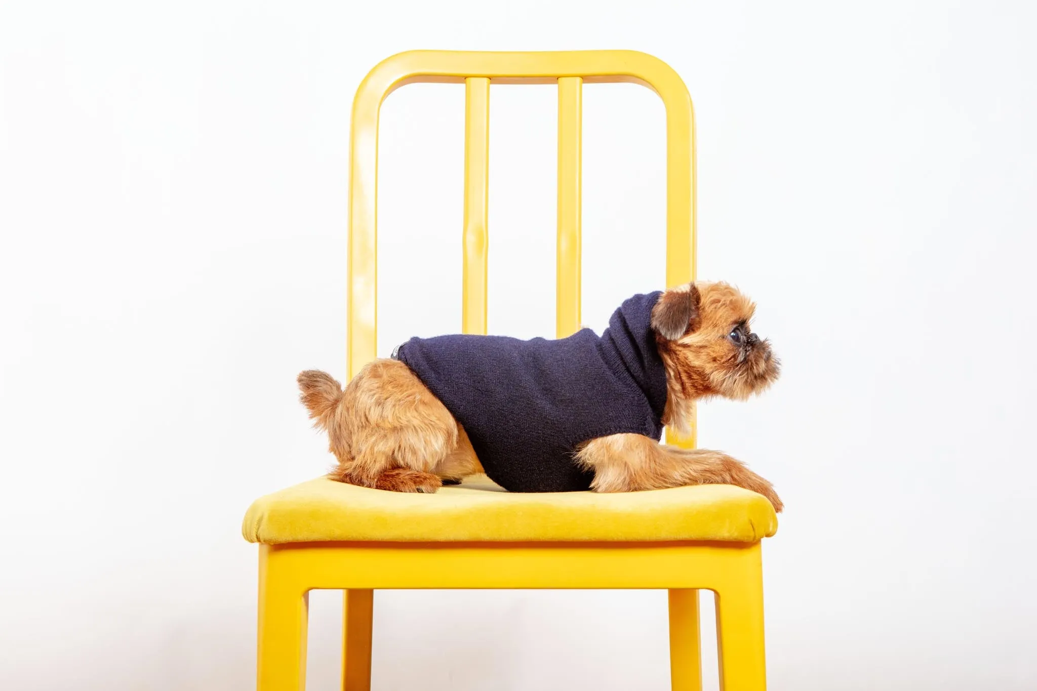 The Marmalady Cashmere Dog Hoodie in Midnight (Made in NYC) (FINAL SALE)