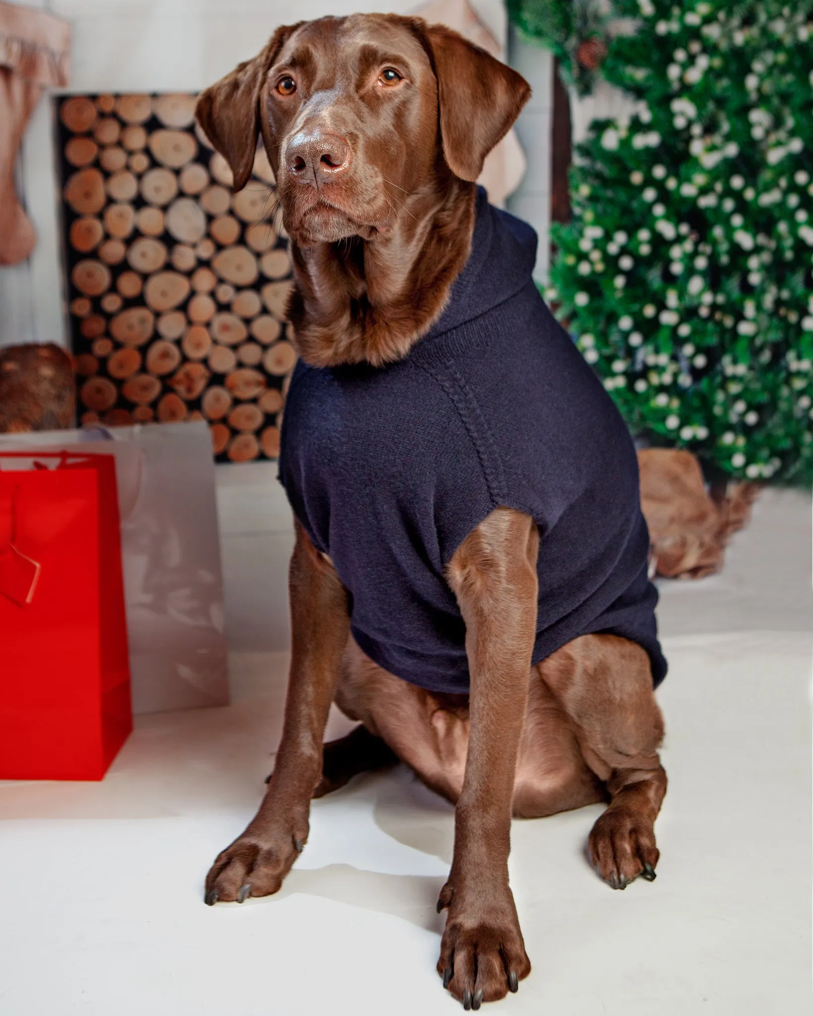 The Marmalady Cashmere Dog Hoodie in Midnight (Made in NYC) (FINAL SALE)