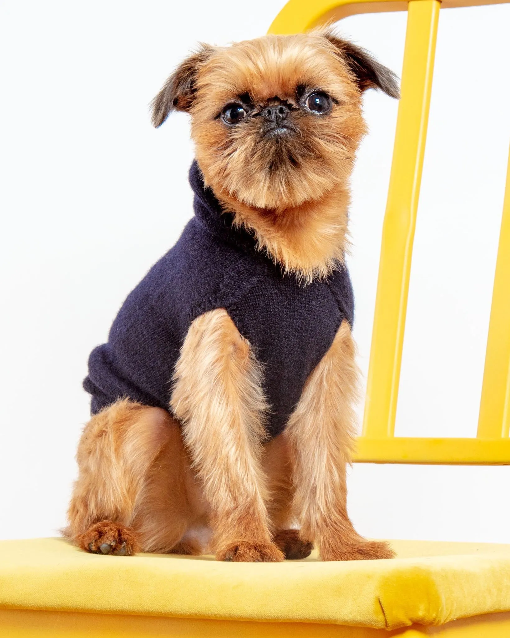 The Marmalady Cashmere Dog Hoodie in Midnight (Made in NYC) (FINAL SALE)